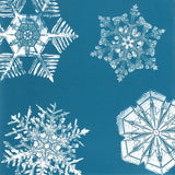 Wilson A. Bentley Snow Crystal Note Cards