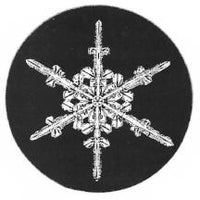 2001 Snowflake "Bentley" Ornament