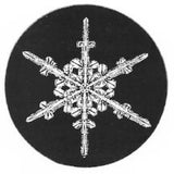 2001 Snowflake "Bentley" Ornament