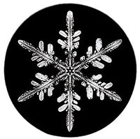 2011 Snowflake "Bentley" Ornament