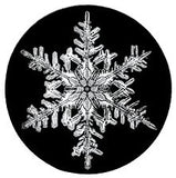 2013 Snowflake "Bentley" Ornament