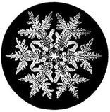 2016 Snowflake "Bentley" Ornament