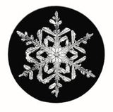 2017 Snowflake "Bentley" Ornament