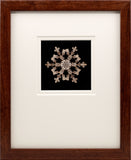 Lantern Slide 500