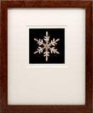 Lantern Slide 501