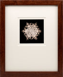 Lantern Slide 502