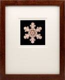 Lantern Slide 503