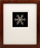 Lantern Slide 511