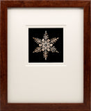 Lantern Slide 512