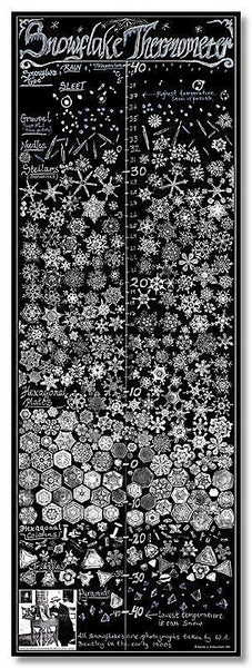 "Snowflake" Thermometer Poster