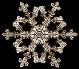 Lantern Slide 500