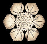 Lantern Slide 504