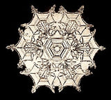 Lantern Slide 506