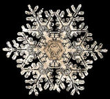 Lantern Slide 508