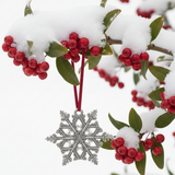 2006 Snowflake "Bentley" Ornament