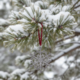 2007 Snowflake "Bentley" Ornament