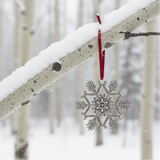 2014 Snowflake "Bentley" Ornament