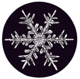2020 Snowflake "Bentley" Ornament