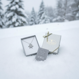 2026 Mini "Snowflake" Bentley Necklace