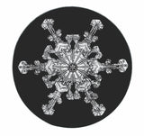2026 Snowflake "Bentley" Ornament