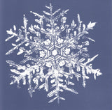 Wilson A. Bentley Snow Crystal Note Cards