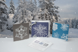 Wilson A. Bentley Snow Crystal Note Cards