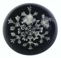 Paperweight #110