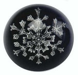 Paperweight #110