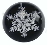 Paperweight #117