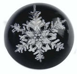 Paperweight #117