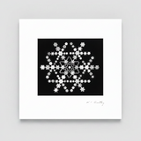 Snowflake Made of Snowflakes Montage