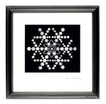 Snowflake Made of Snowflakes Montage