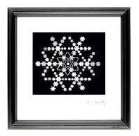Snowflake Made of Snowflakes Montage