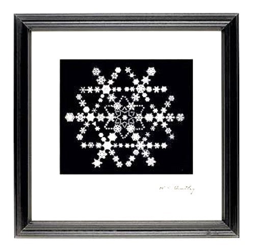 Snowflake Made of Snowflakes Montage