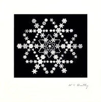 Snowflake Made of Snowflakes Montage
