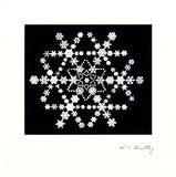 Snowflake Made of Snowflakes Montage