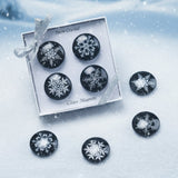Glass Dome Magnets