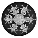 2004 Snowflake "Bentley" Ornament