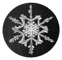 2005 Snowflake "Bentley" Ornament