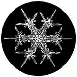 2008 Snowflake "Bentley" Ornament