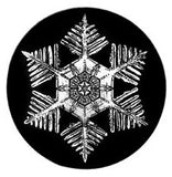 2009 Snowflake "Bentley" Ornament