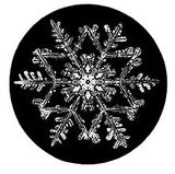 2014 Snowflake "Bentley" Ornament