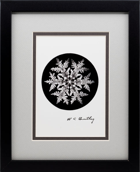 Wilson Bentleys Snowflake 920 ca 1890 detailed photograph of snowflakes in  high resolution by Wilson Acrylic Print by Les Classics - Pixels